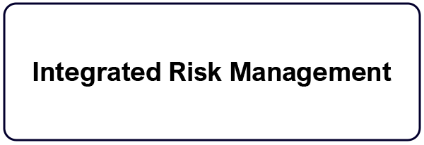 Integrated Risk Management